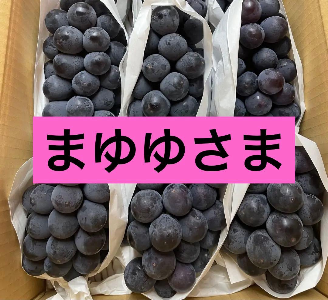 まゆゆ様★巨峰3キロとシャイン3キロ