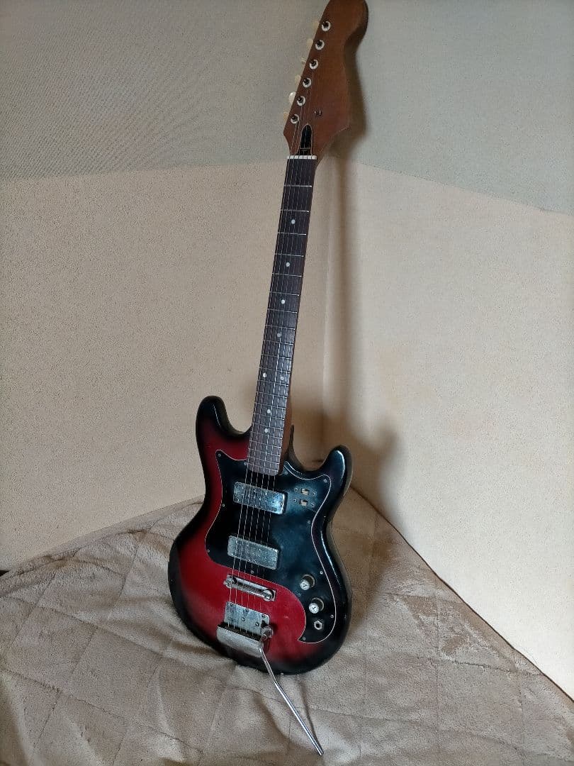 タンタカタンVISION VEG-120 ビジョン