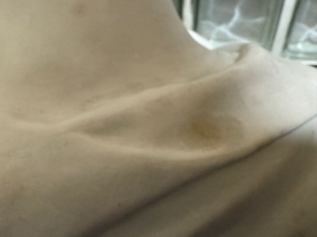 石膏像 ジョルジョ 胸像