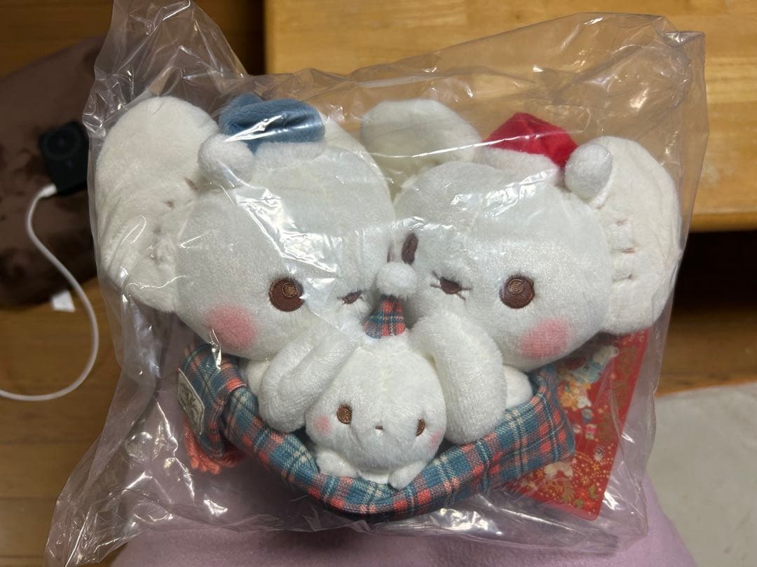 ポケモンセンター クリスマス 2024 イッカネズミ ぬいぐるみ