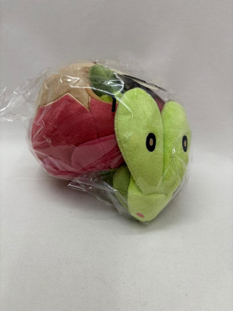 ポケモン 海外限定 カジッチュ ぬいぐるみ 果然一派