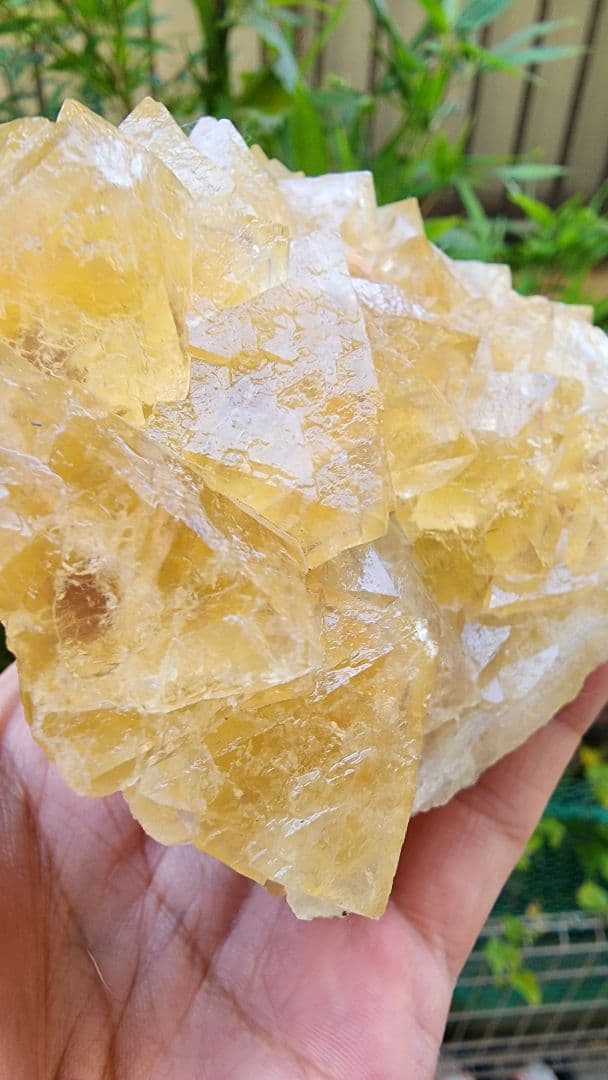 黄色と紫色フローライト　二重層八面体黄色蛍石