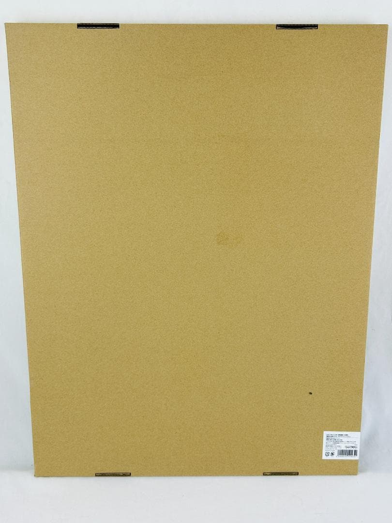 大逆転裁判 逆転裁判20周年記念 キャラファイングラフ 塗和也 額装付き