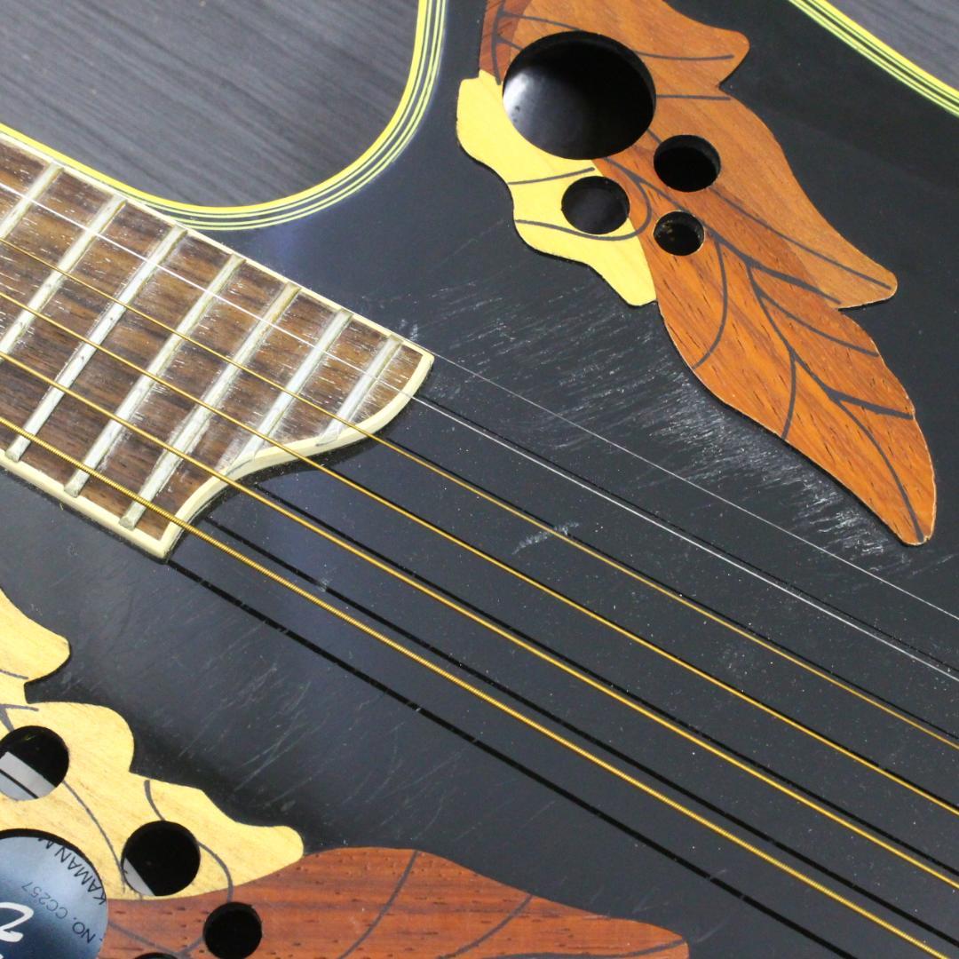 ◇Ovation Celebrity Deluxe CC257 エレアコ