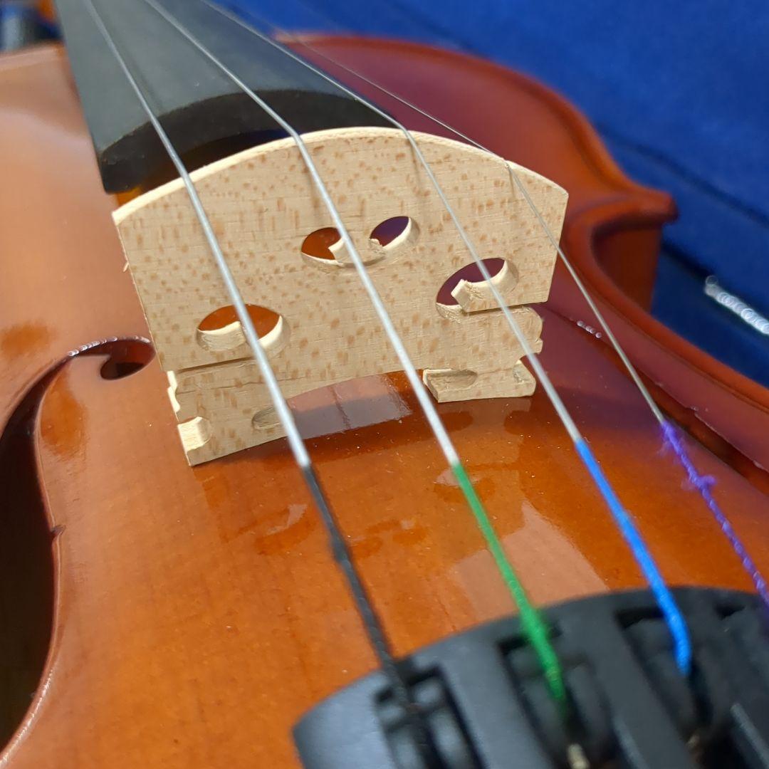 Carlo giordano VS-1 4/4 カルロジョルダーノ 2015年