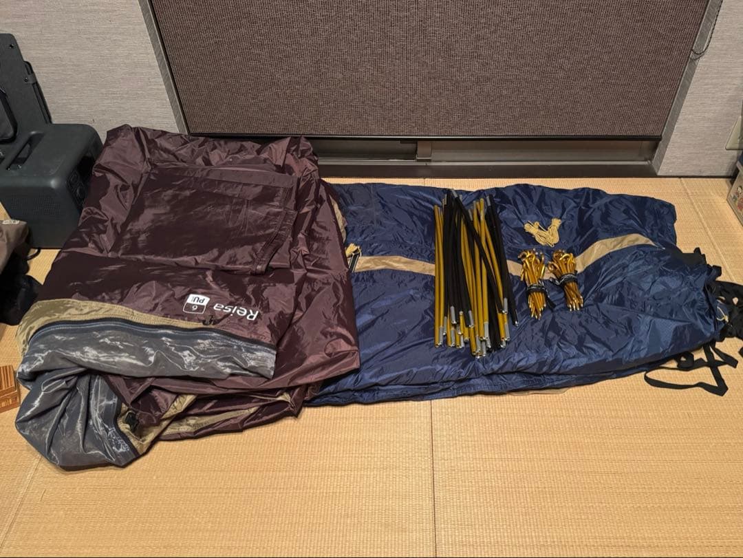 最終値下げ　ノルディスク　レイサ6 F/CE nordisk REISA6