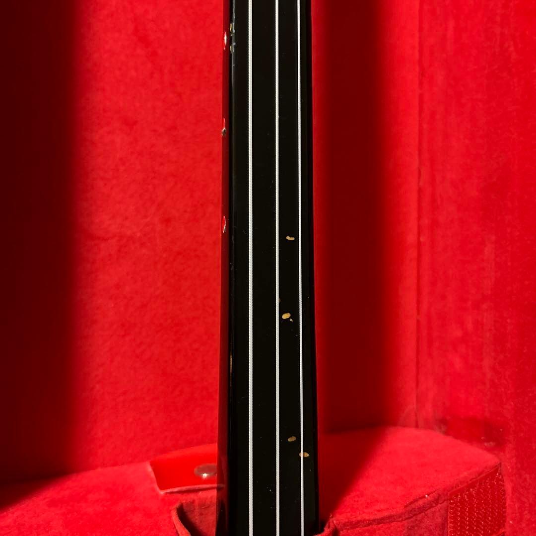 三線 本体 ヘビ革製 ハードケース付き