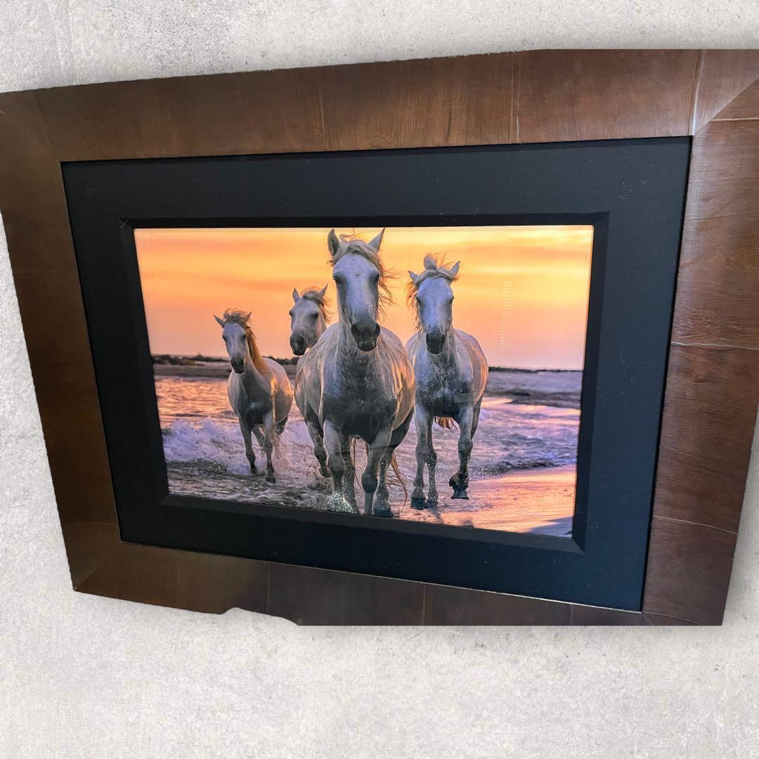 《元値150万円》ピーターリク　Running Free