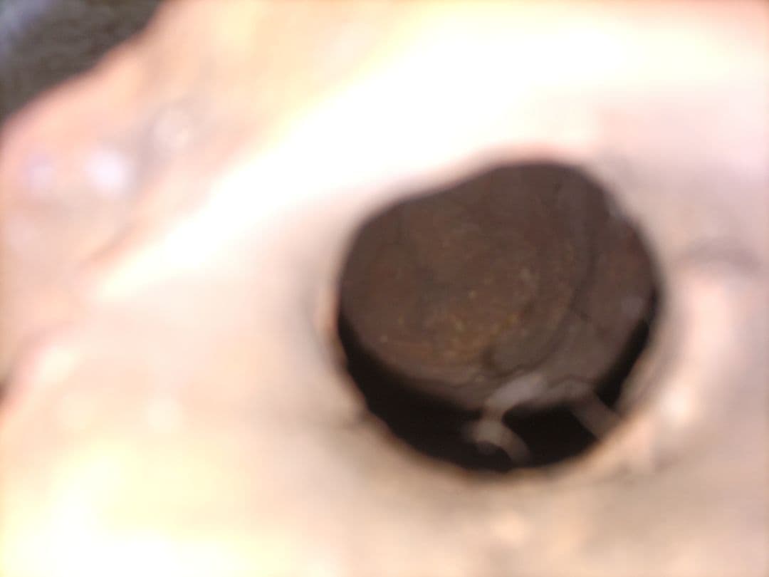 埴輪頭部残欠　古墳時代　土器