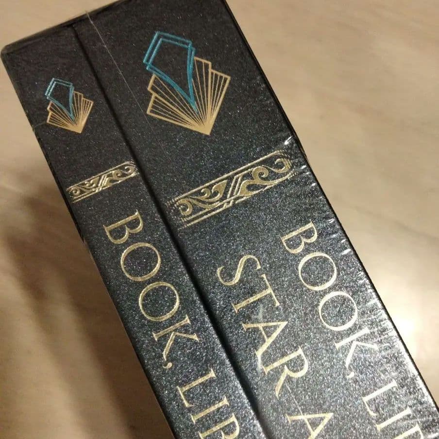 ライブラリーオブルイナ　アートブック　ビーニルフィルム付き