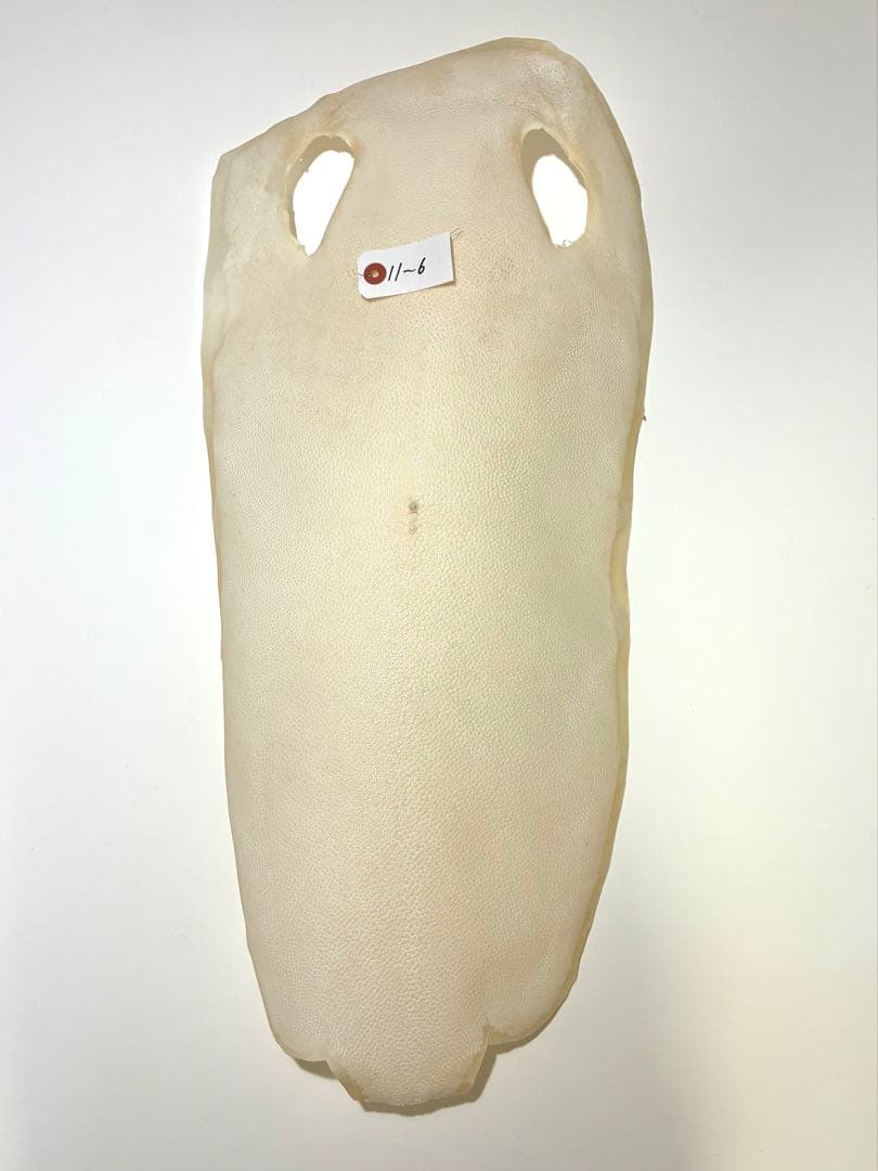 刀剣用　鮫皮　エイ革 10-3 11-6 2枚分user_46f847da