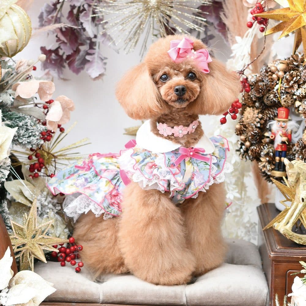 Luxe birdie リュクスバーディ ラヴィルワンピース SS