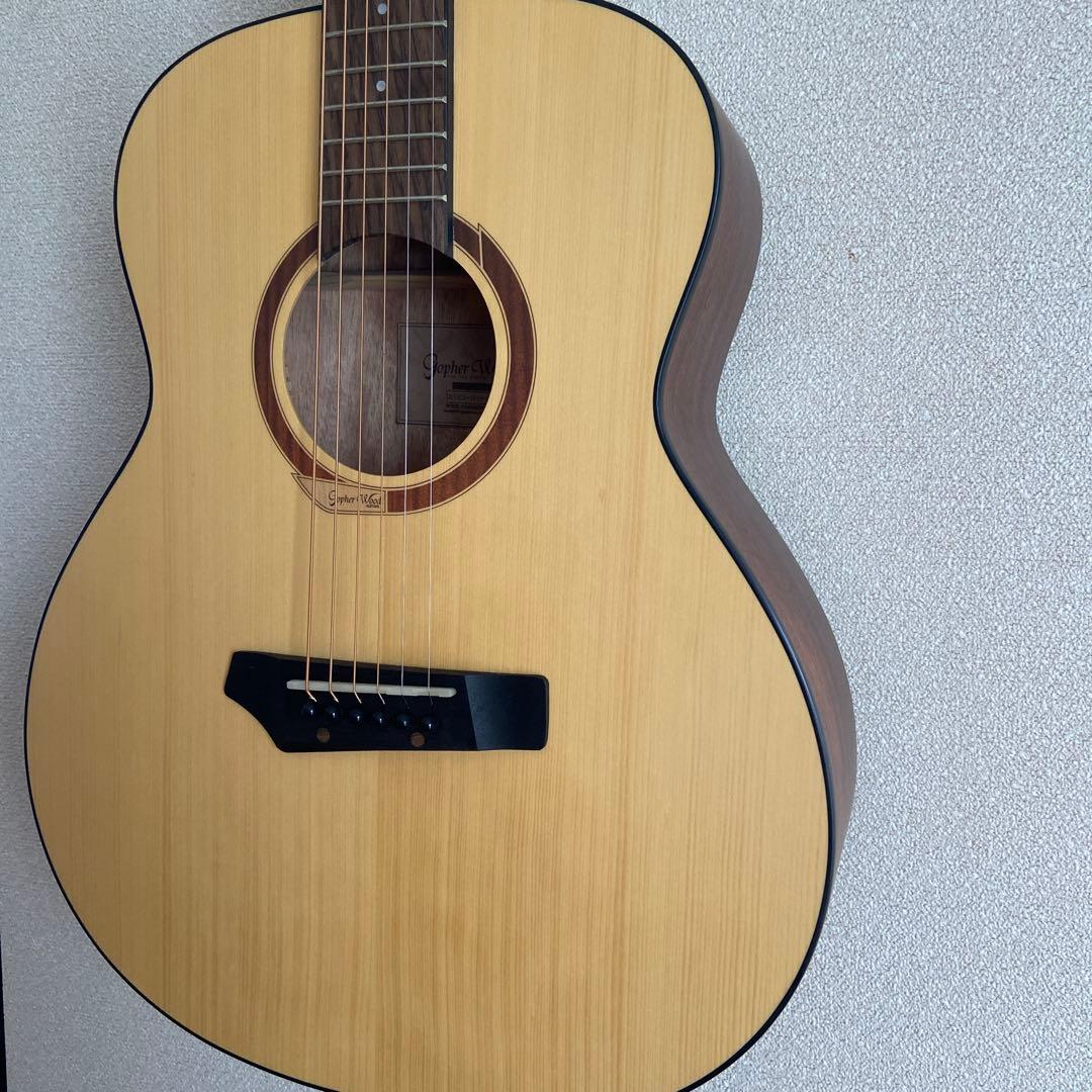 Gopher Wood i110SX　アコースティックギター　ゴフェルウッド
