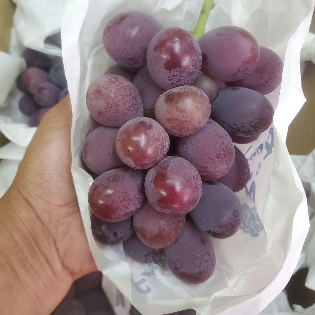 6️⃣ 山梨県産 種無し巨峰１０房 箱込み5.7キロ