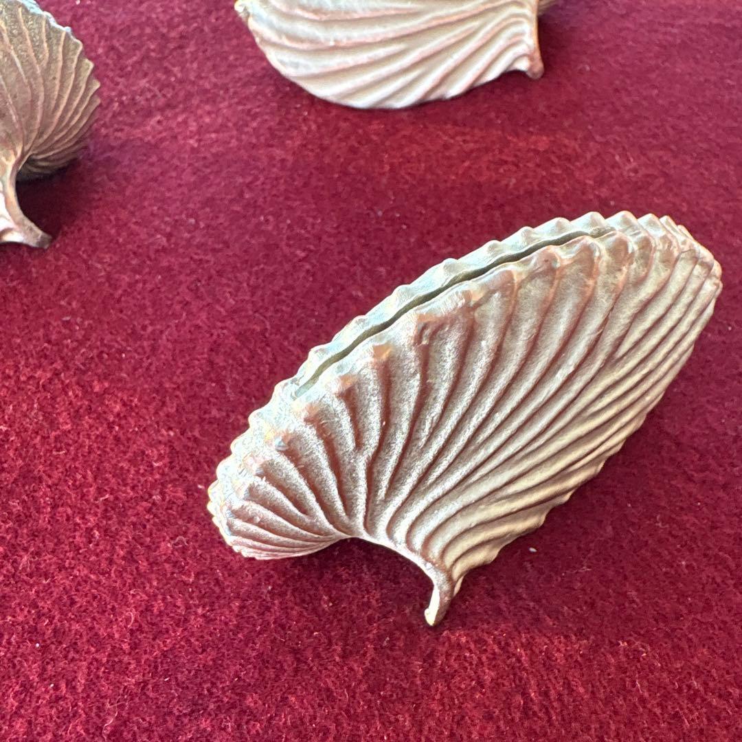 アトリエジュンコ シェル型カードスタンド 4個セット