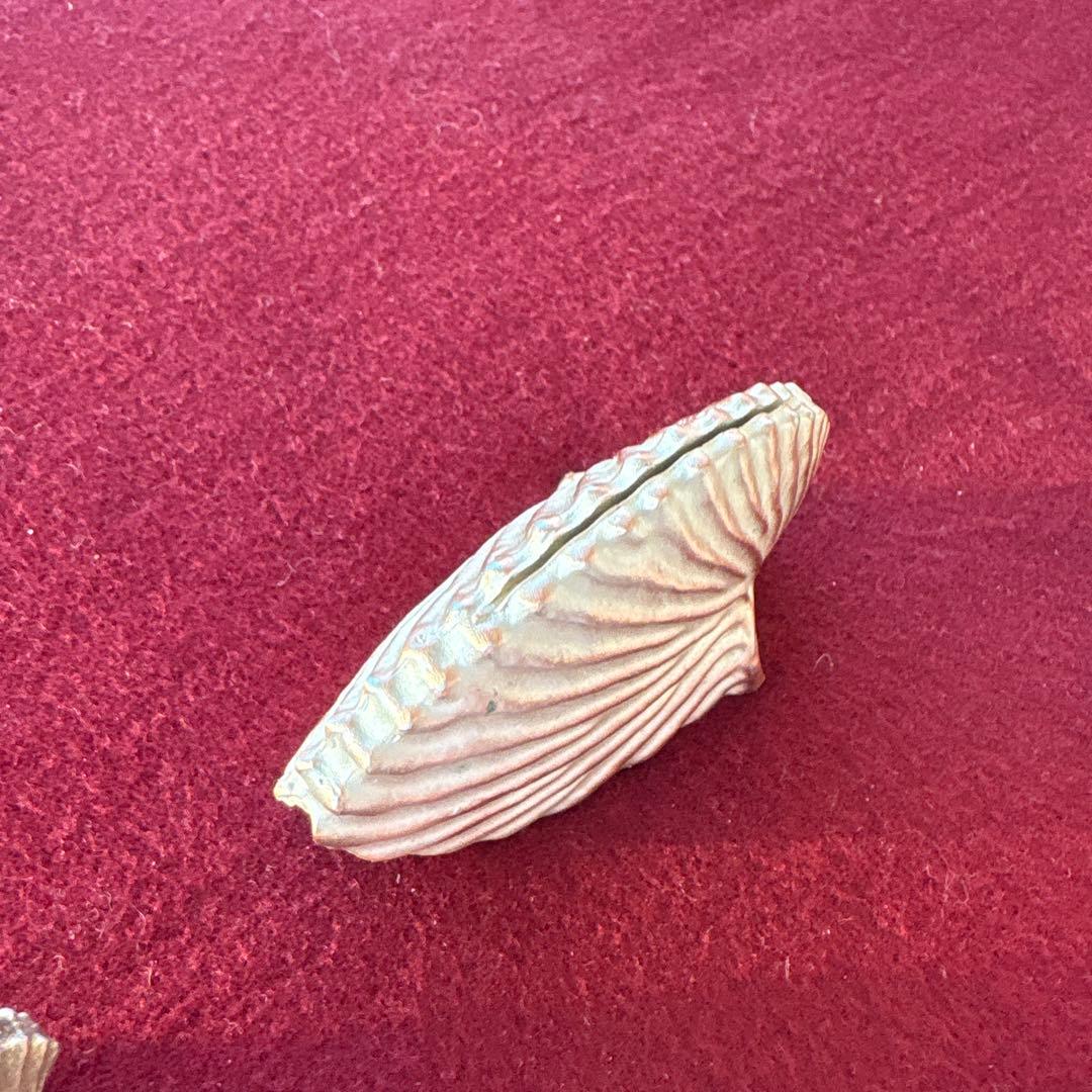 アトリエジュンコ シェル型カードスタンド 4個セット