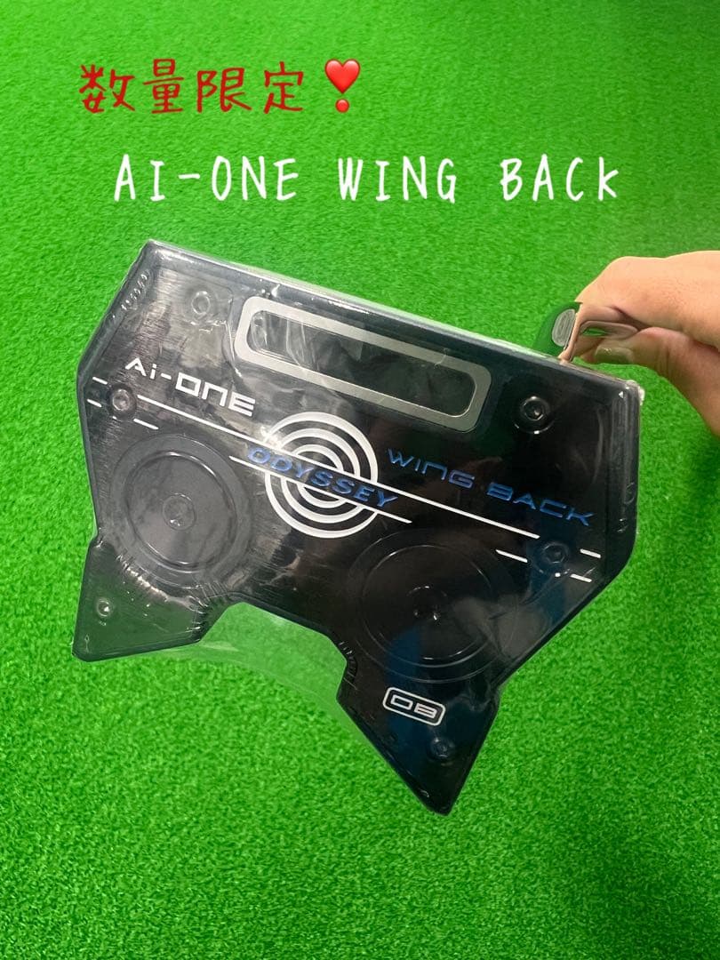 AI-ONE WING BACK パター