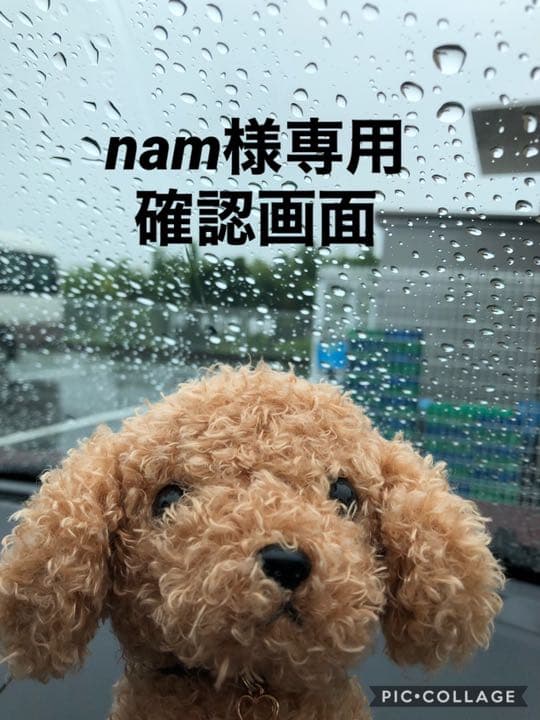 こちらはnamの確認画面になります