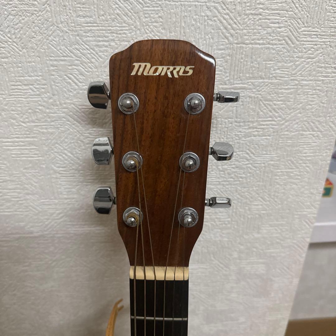 Morris アコースティックギターM-11NAT