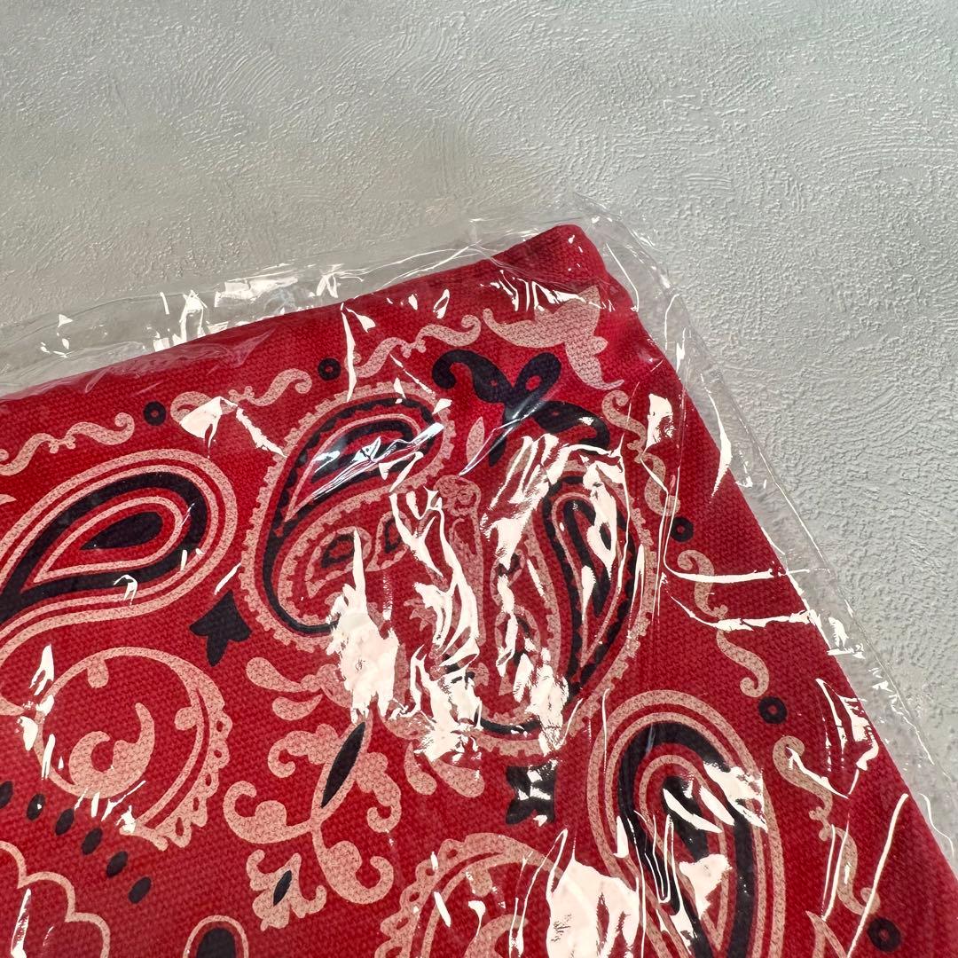 Superfly グッズ グリュック レア バック スペシャル スーパーフライ