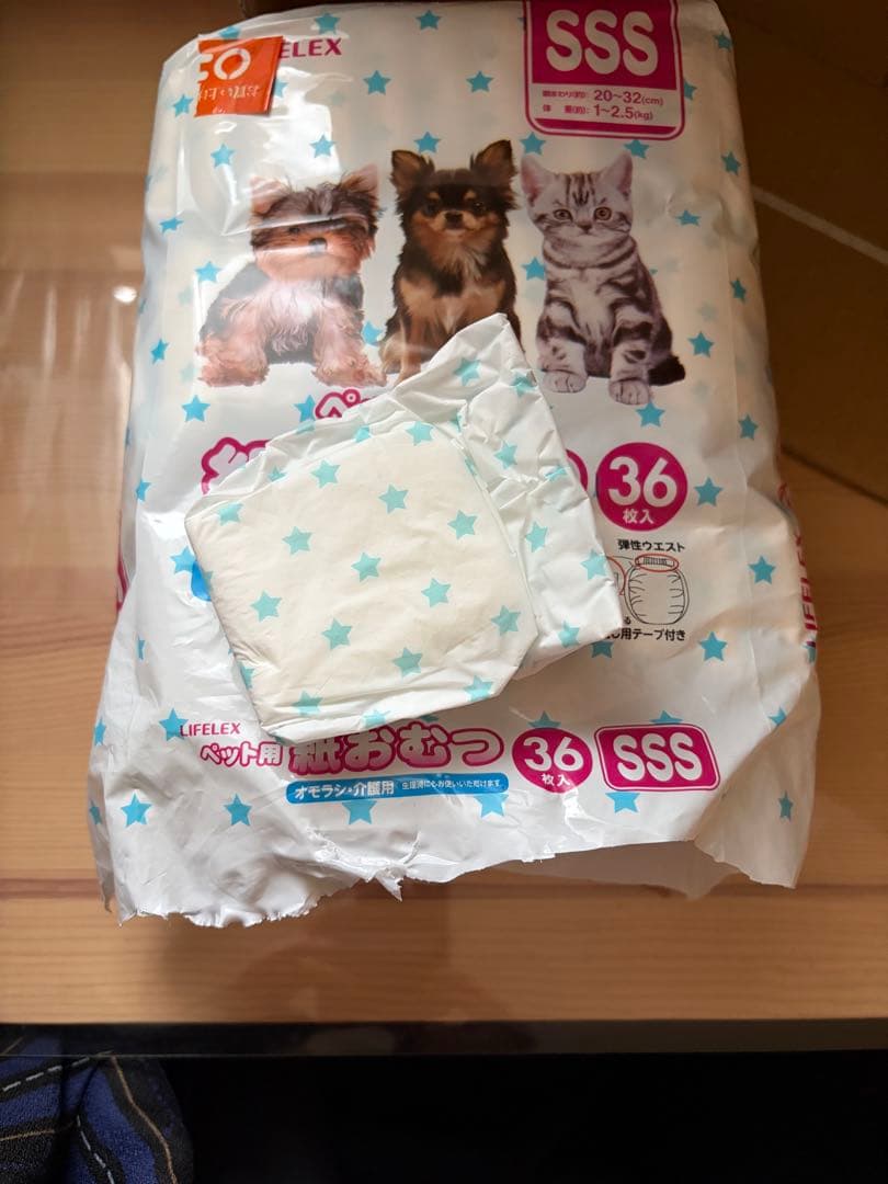 猫マナーパンツいろいろ