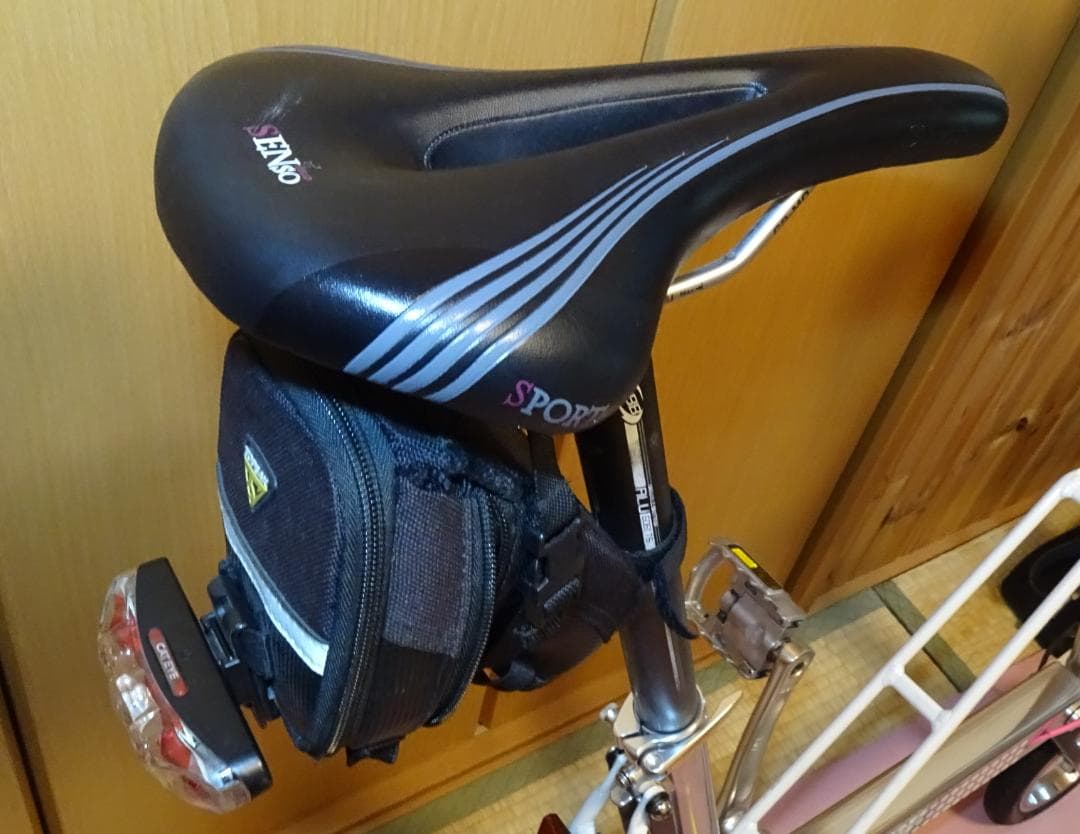 CarryMe キャリーミー　ポリッシュ　2013年式　室内保管　ブレーキ強化済