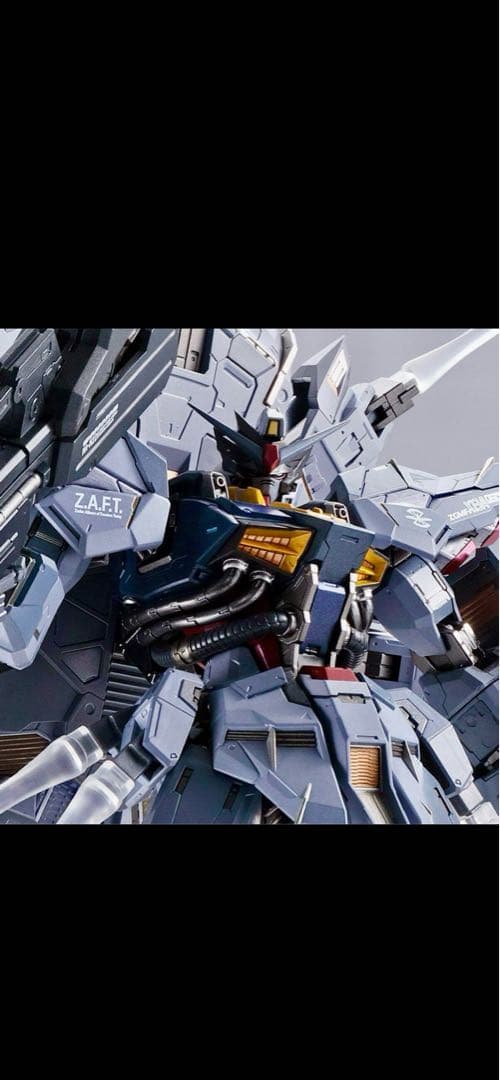 L BUILD プロヴィデンスガンダム　メタルビルド　ガンダムSEED