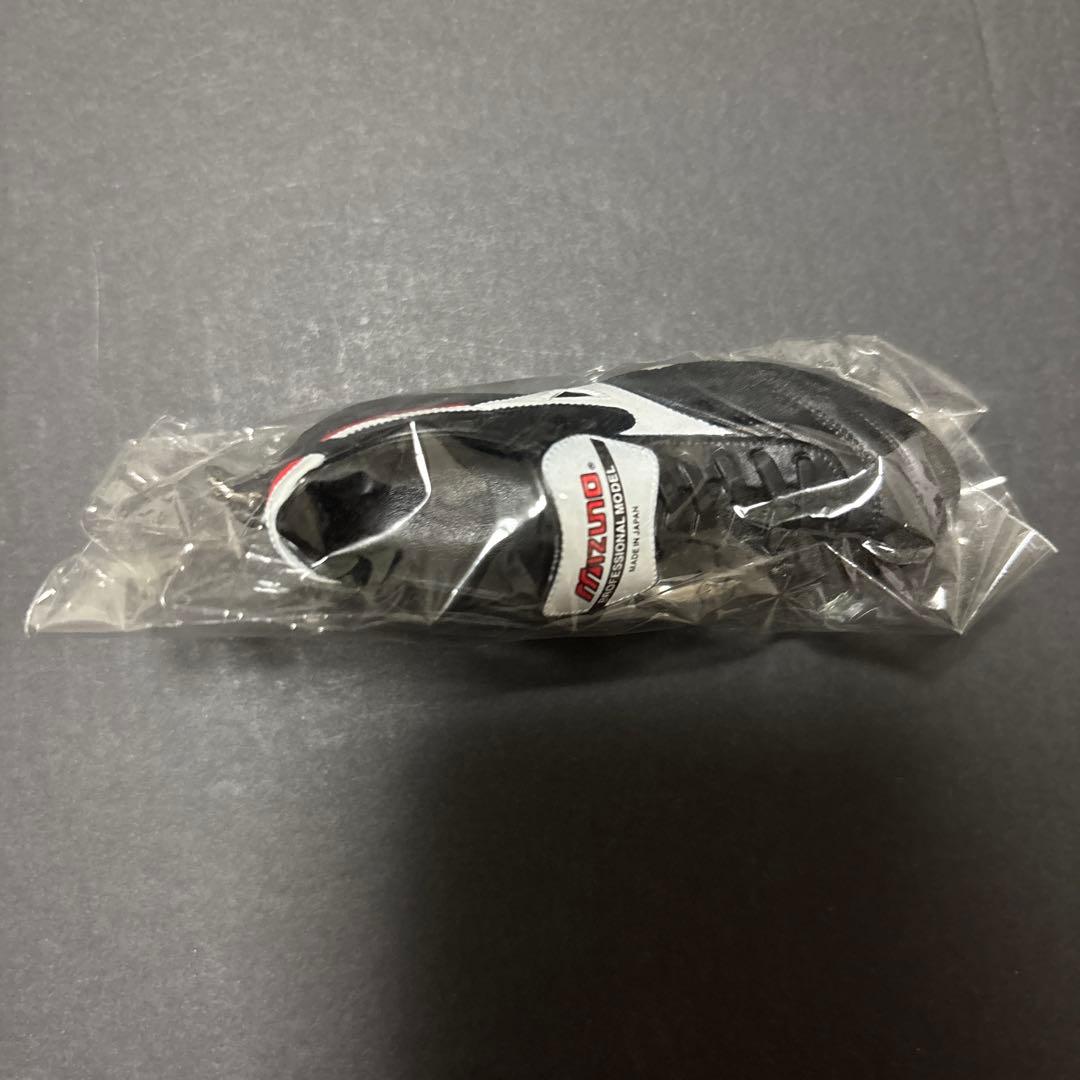 ぴこさん専用　モレリア2japan