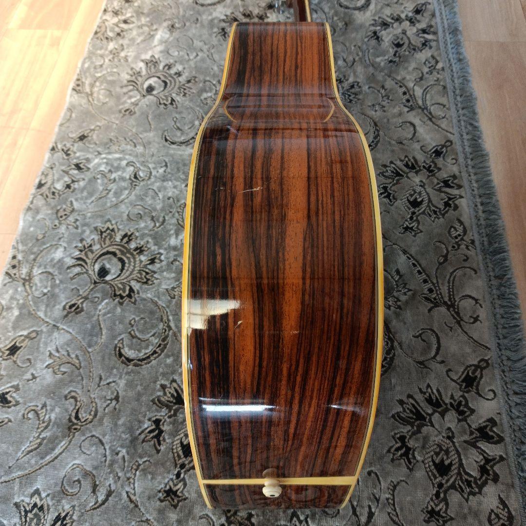 コンプリートＤ-55モデル 積層ネック 本アバロン貝　Aria GL-500