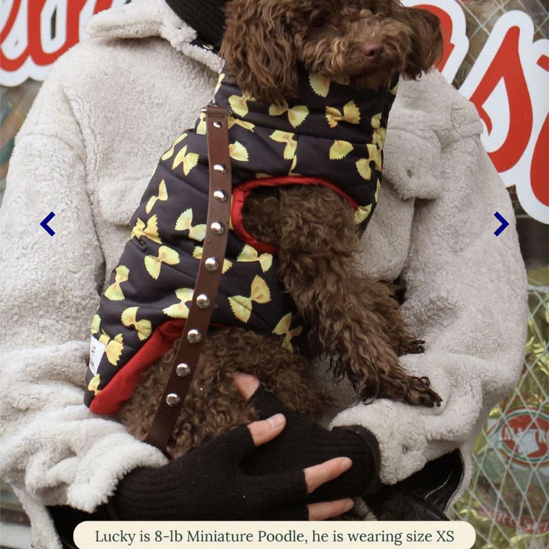 little beast パスタ柄犬用コート