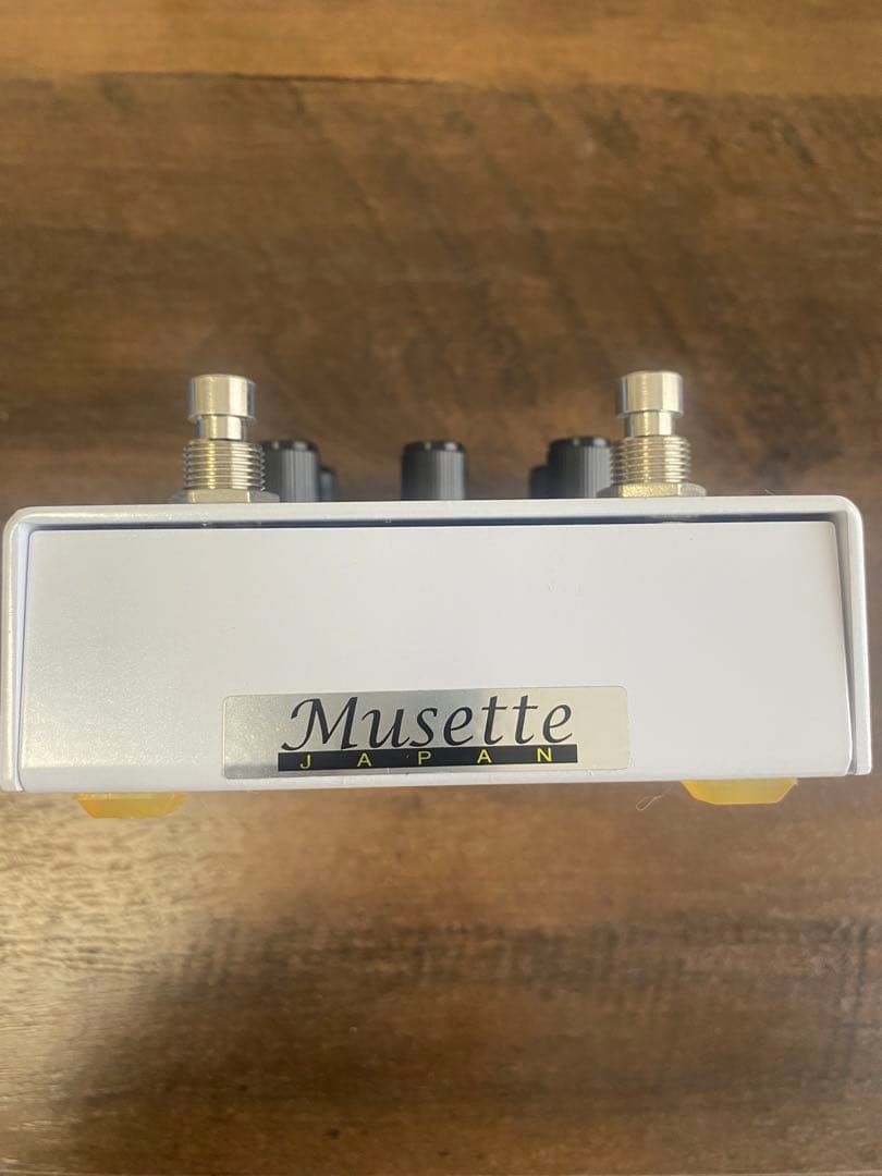 Meris ( メリス ) POLYMOON 多機能ディレイ　シューゲイザー