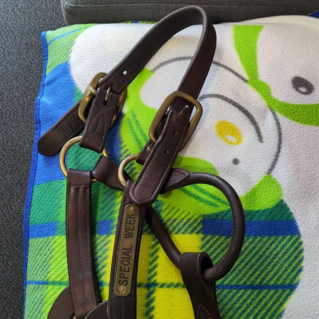 く*ろ様 競走馬　スペシャルウィーク　無口