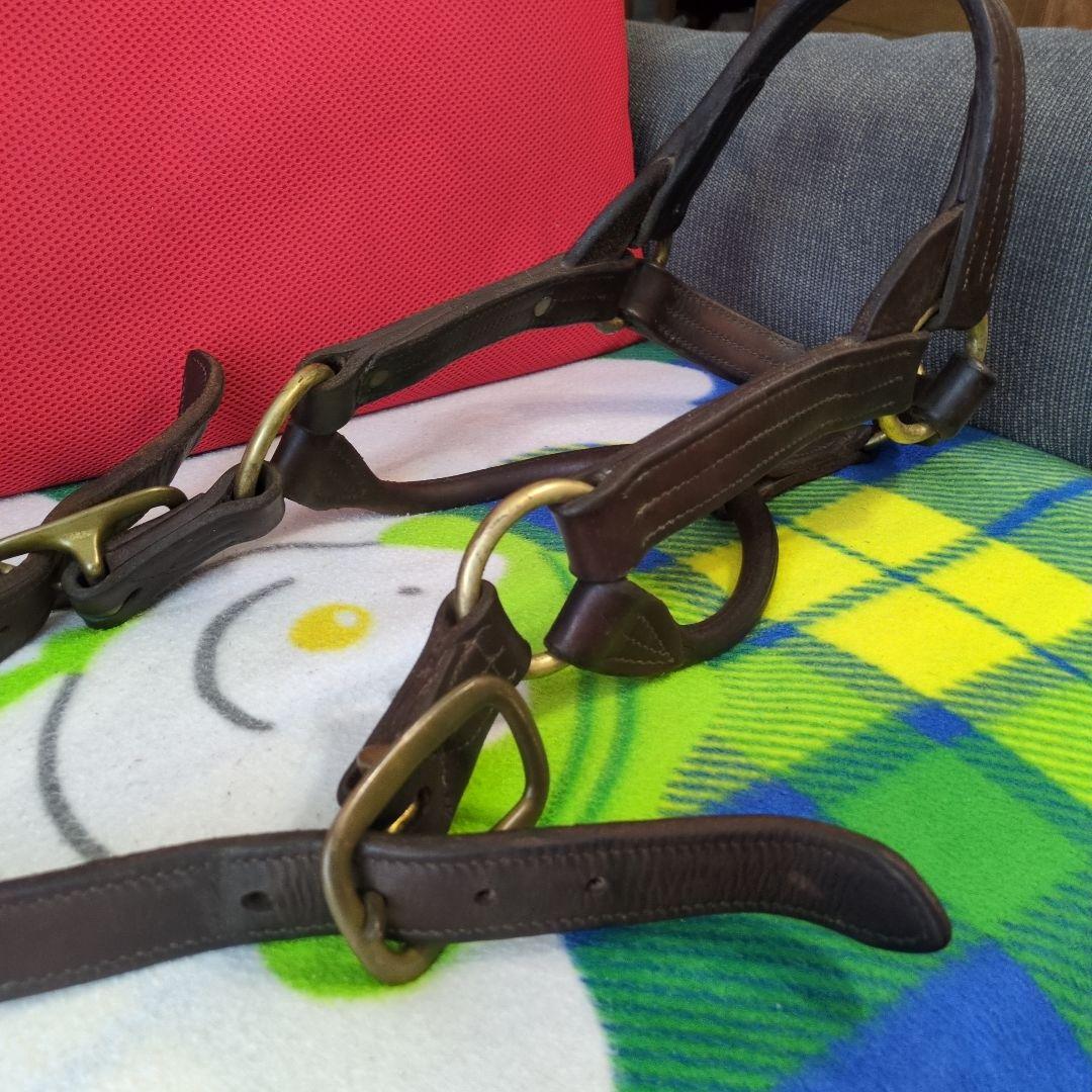 く*ろ様 競走馬　スペシャルウィーク　無口