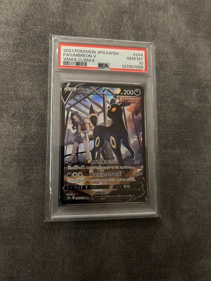 東*太様 ブラッキー V CSR PSA10