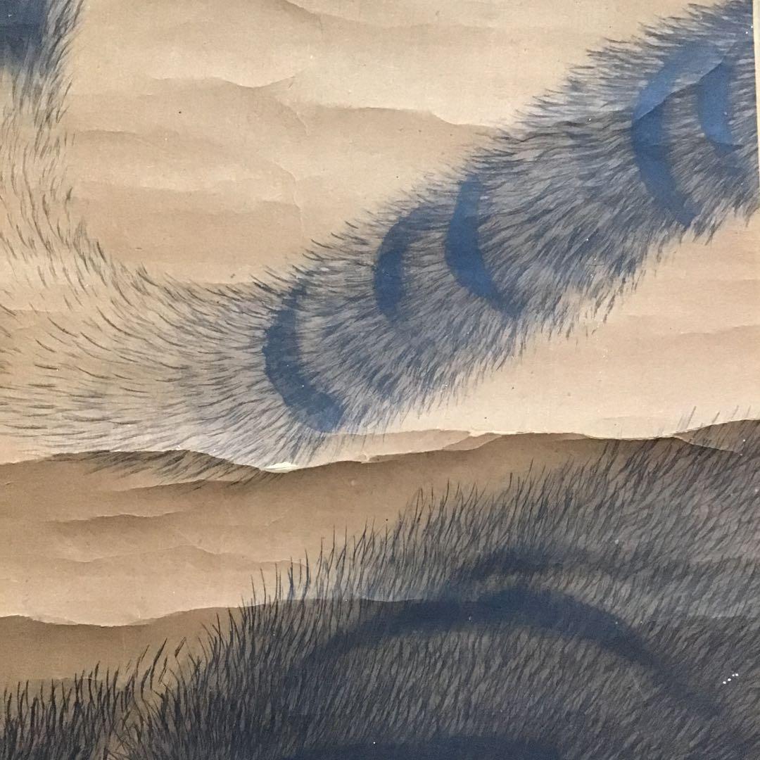 茶道具　掛軸「寅の図」　昌信写　幕末から明治初期と推定　配送用桐箱　S197KJ