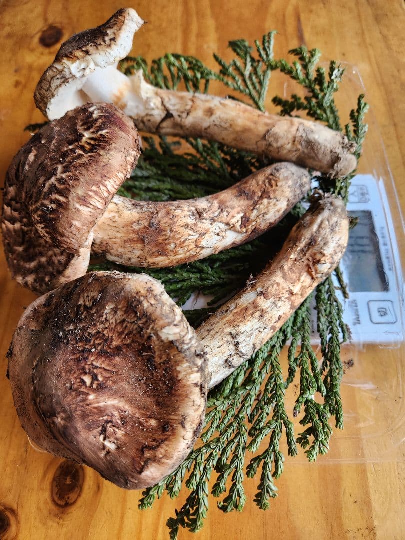 北海道産松茸　 387g