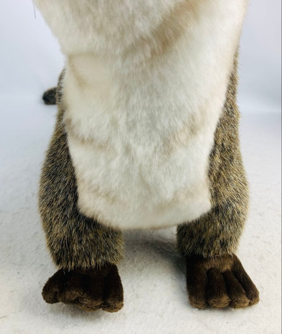 ハンサ ぬいぐるみ 3319 カワウソ かわうそ リアルアニマル 動物 獺