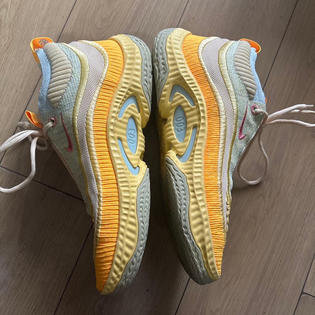 ナイキ バッシュ