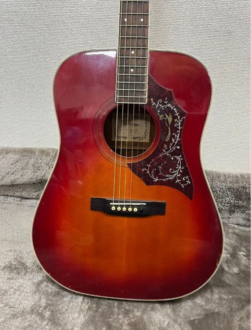 Rockiuger DH-010 アコースティックギター ソフトケースつき