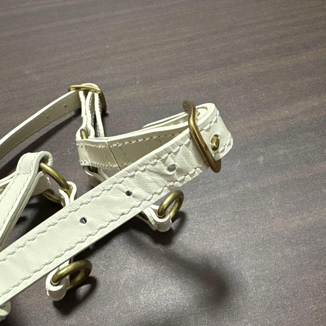 CITYDOG レザー ハーネスMサイズ&リードセット　アイボリー