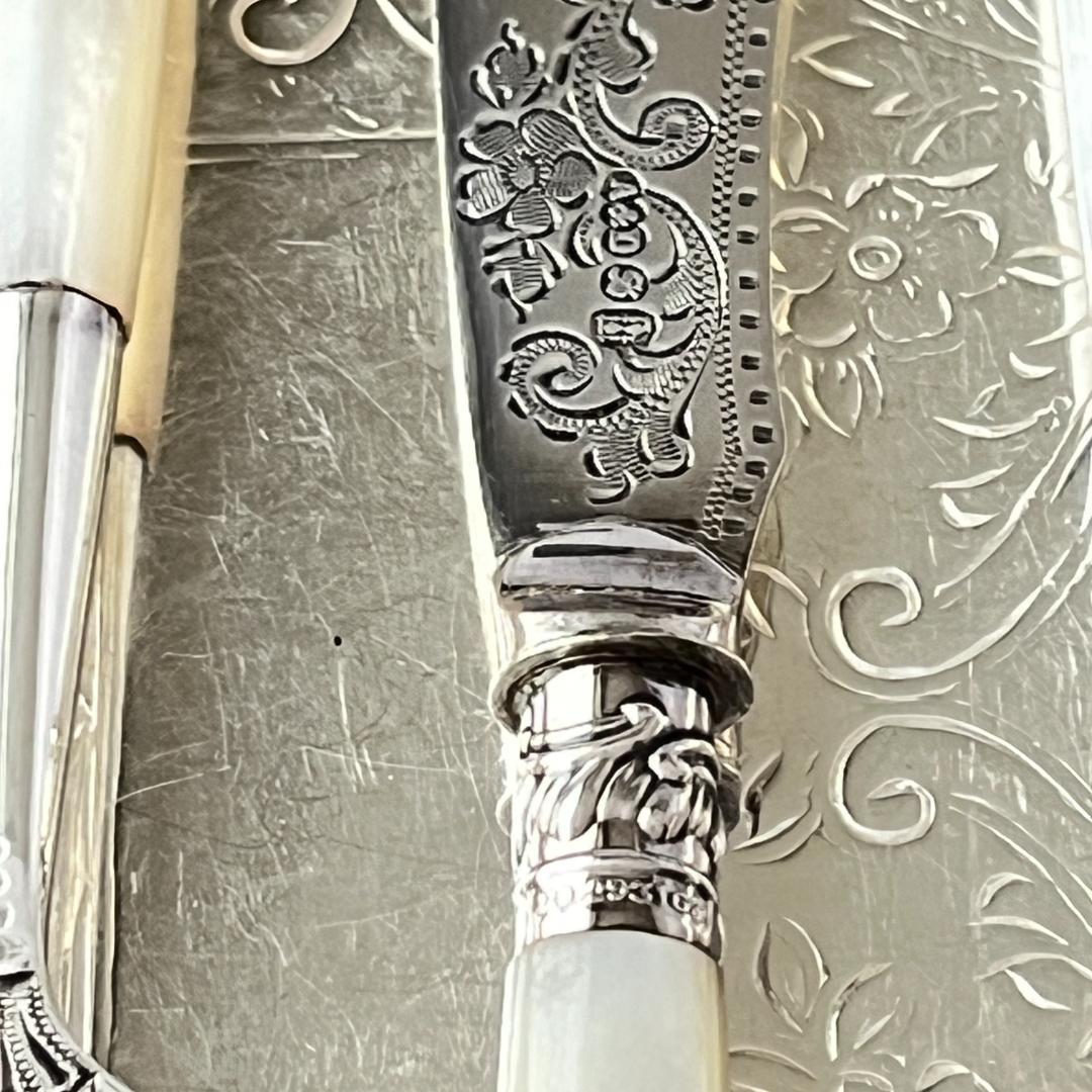 【Allen & Darwin】【白蝶貝】ミニサーバーセット 4本 ケース