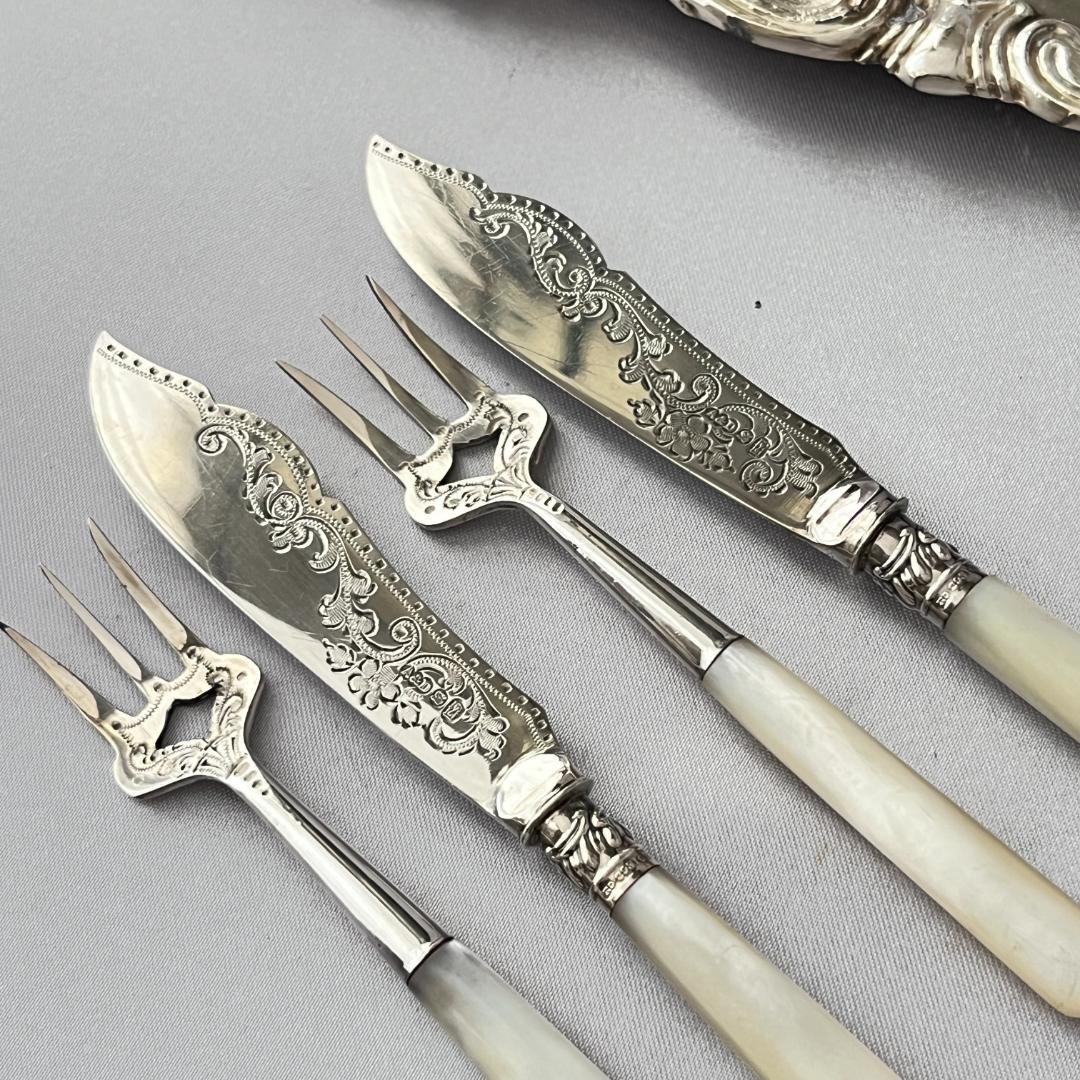 【Allen & Darwin】【白蝶貝】ミニサーバーセット 4本 ケース