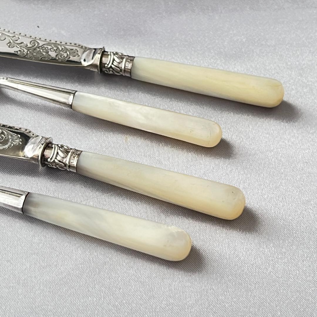 【Allen & Darwin】【白蝶貝】ミニサーバーセット 4本 ケース