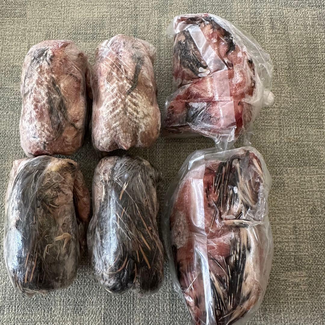 冷凍ウズラ 63羽　処理済み 　猛禽類、爬虫類のエサ