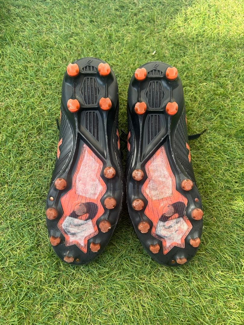 DS LIGHT X-FLY PRO 2 2足セット