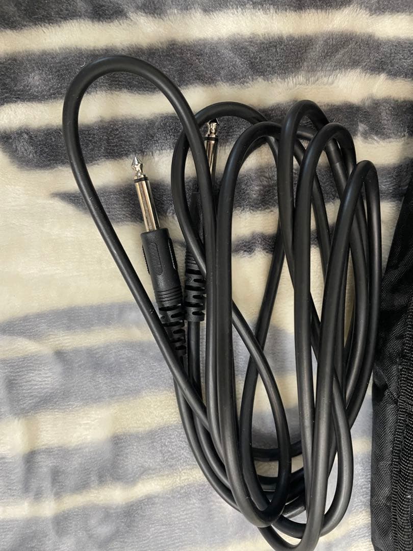 エレキギターPrototgenic