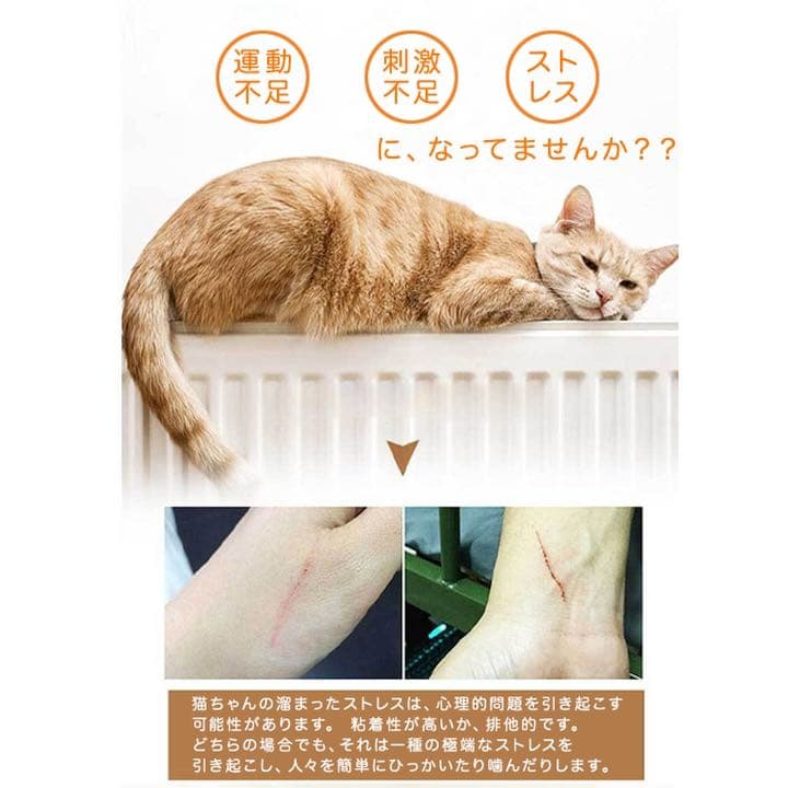 LEDポインタ ねこ用 おもちゃ USB式 垢色ポインタ 紫色光 白色光 可愛い