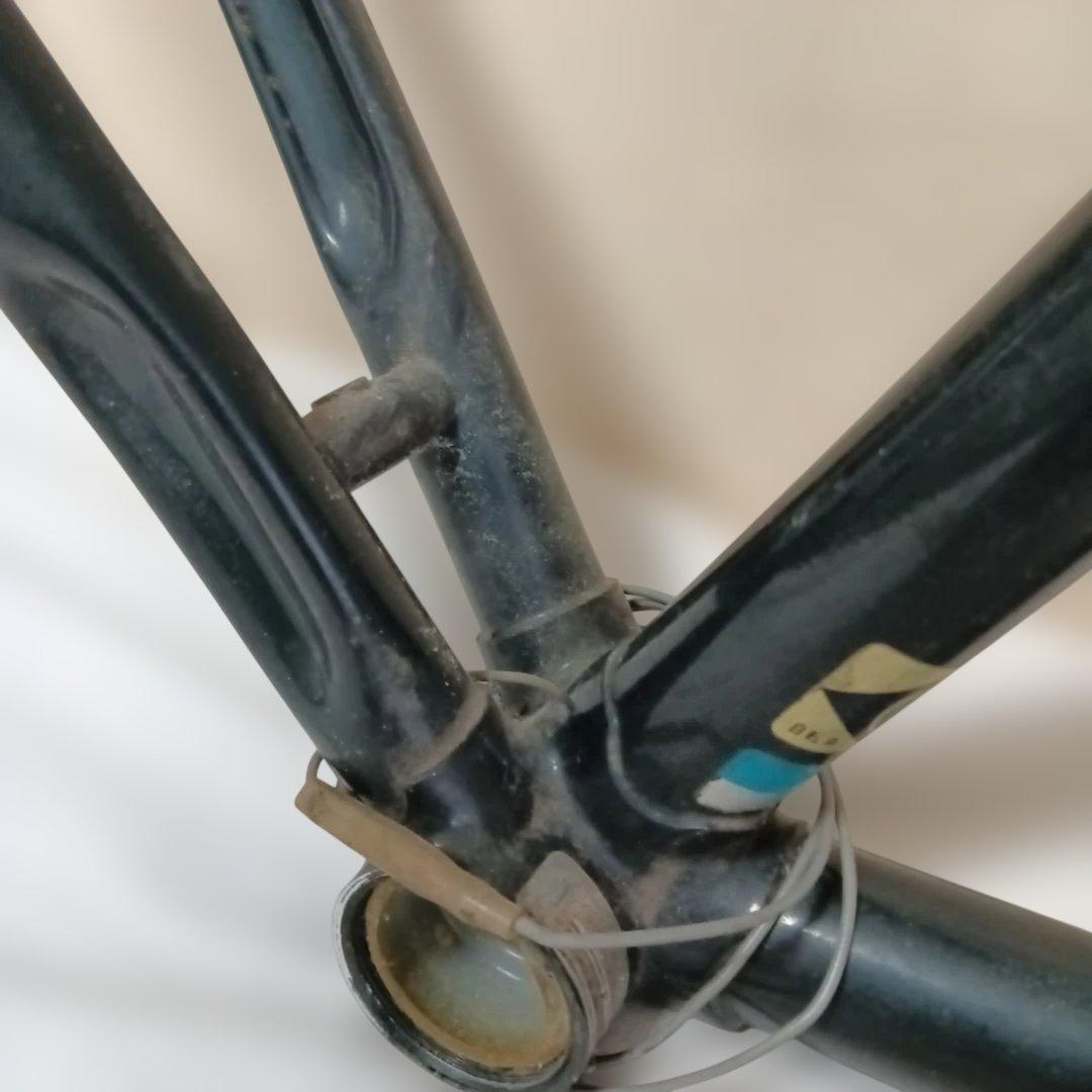 EMPEROR 濃緑 フレーム