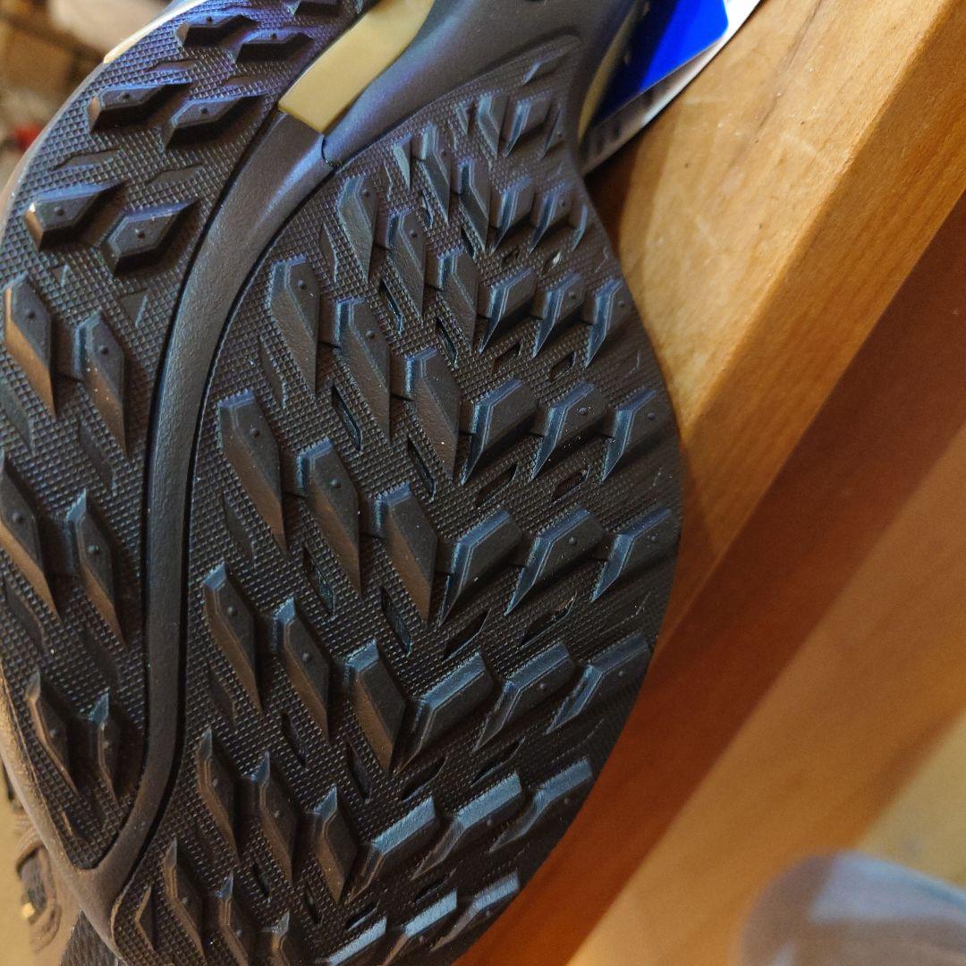 その他 Mizuno Wave Rider GTX 2 25.5cm