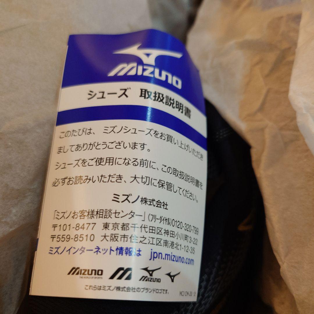その他 Mizuno Wave Rider GTX 2 25.5cm